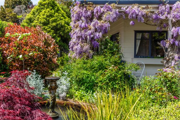The Olive Rabbit Boutique B&B