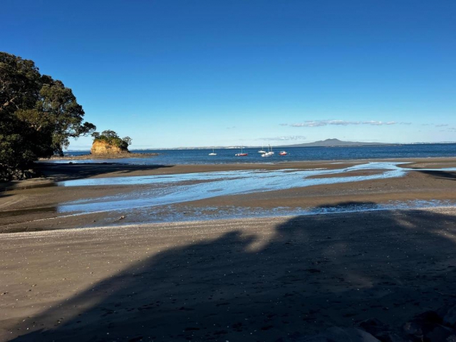 Waiake Beach Apartments