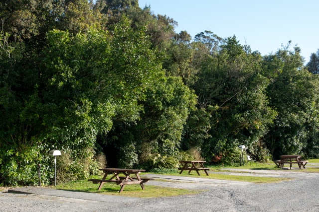 Fox Glacier Lodge and Campervan Park
