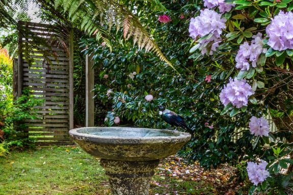 The Olive Rabbit Boutique B&B