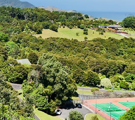 Annabells B&B Whitianga