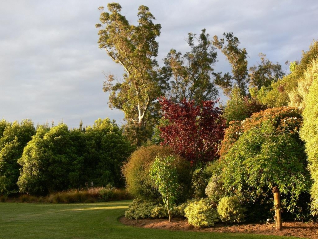 Garden View Bed & Breakfast, Rolleston