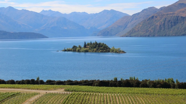 Bella Vista Motel Wanaka