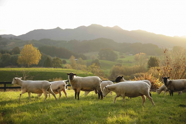 Somersal B&B & Wedding Venue