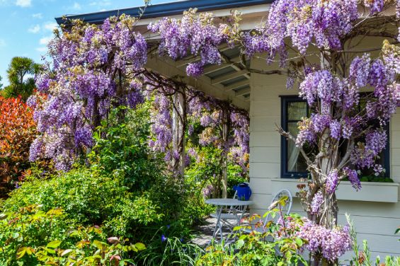 The Olive Rabbit Boutique B&B