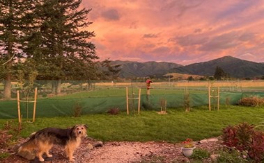 Birdsong Alley B&B