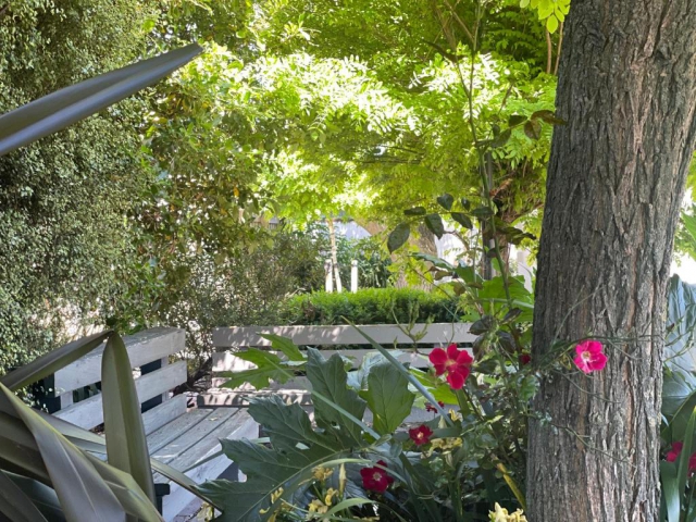 Ashleigh Court Motel - Christchurch