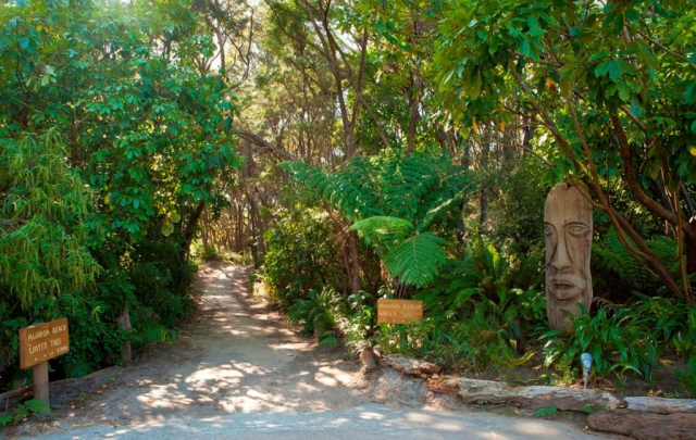 Awaroa Lodge 