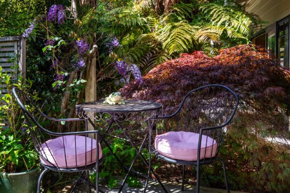 The Olive Rabbit Boutique B&B