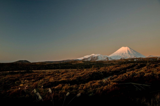 Tongariro Suites