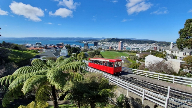 Bella Vista Motel Wellington