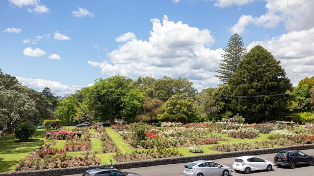 Rose Park Hotel Auckland 