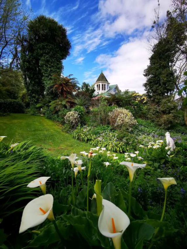Country Villa B&B