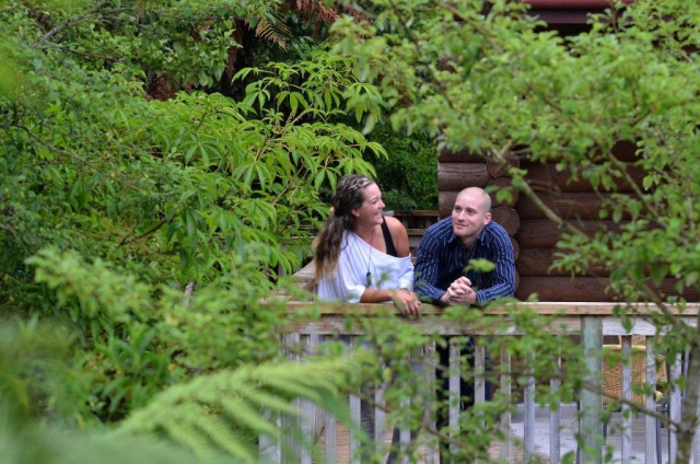 Rainforest Retreat and Holiday Park 