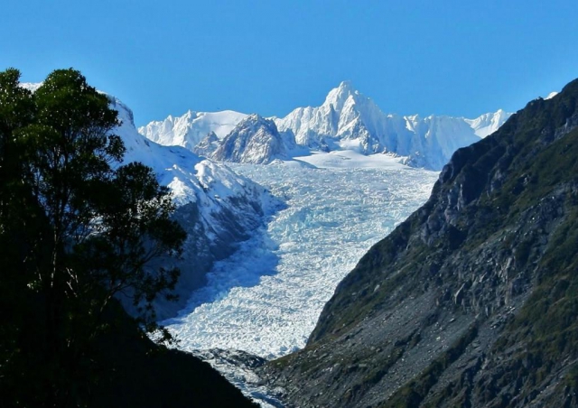 Bella Vista Motel Fox Glacier