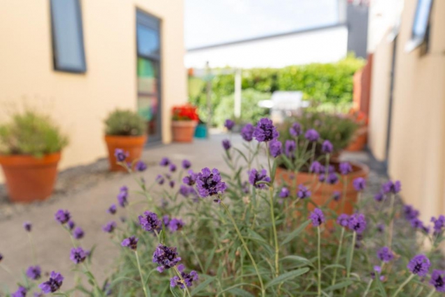 Bella Vista Motel Ashburton