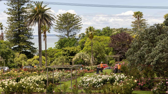 Rose Park Hotel Auckland 