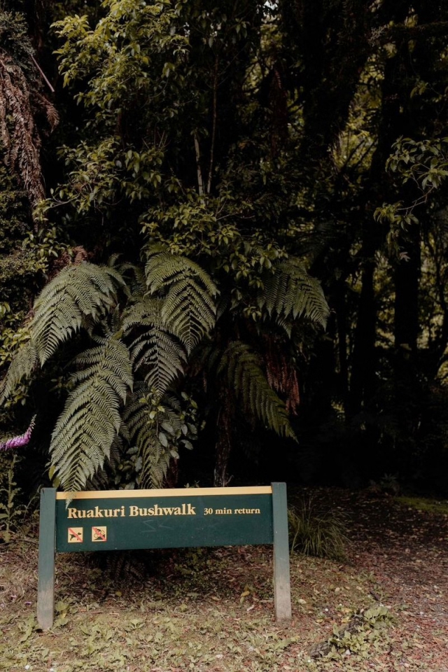 Waitomo Village Chalets