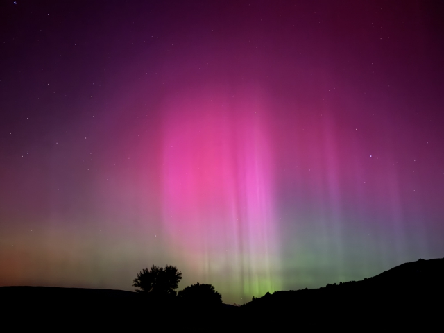 Matagouri Lodge Boutique Bed & Breakfast