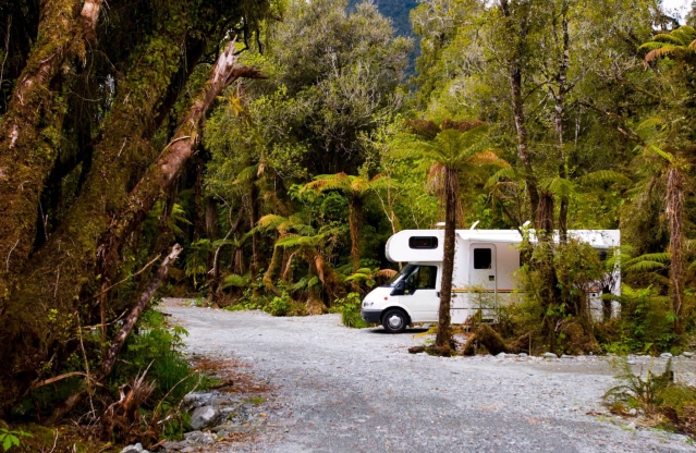 Rainforest Retreat and Holiday Park 