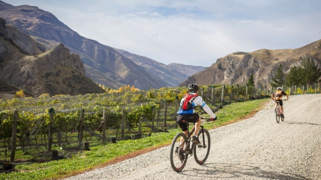 Bella Vista Motel Queenstown