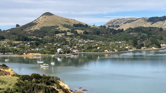 Bella Vista Motel Dunedin