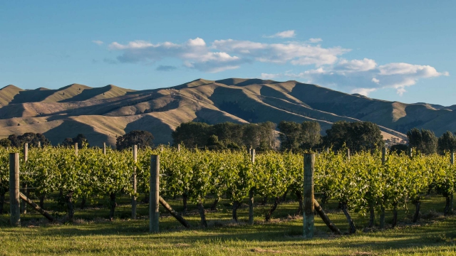 Bella Vista Motel Blenheim