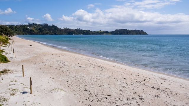 Beachfront on Waiheke 