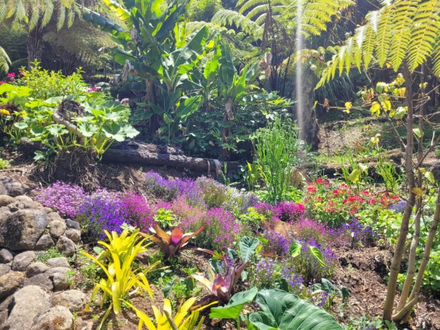 Annabells B&B Whitianga