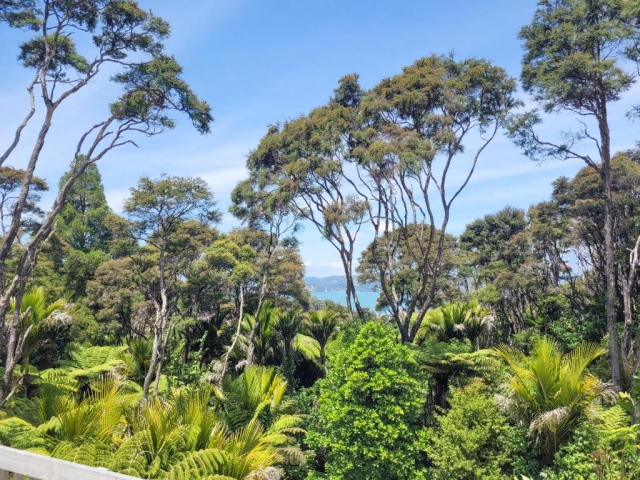 Annabells B&B Whitianga