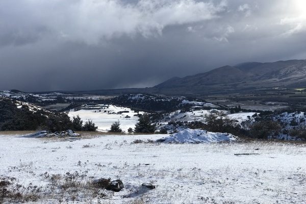 Matagouri Lodge Boutique Bed & Breakfast