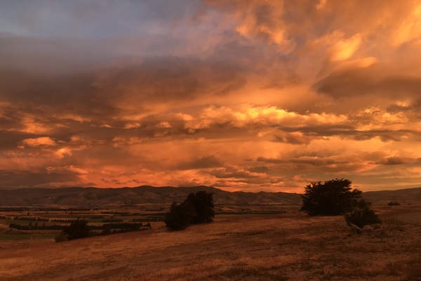 Matagouri Lodge Boutique Bed & Breakfast