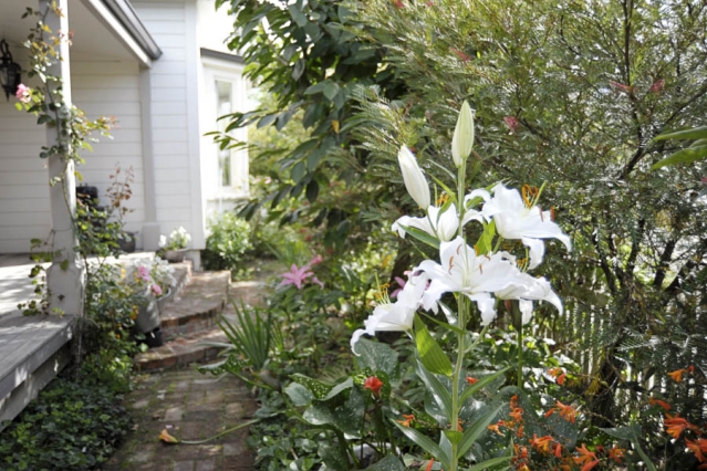 Kippilaw House Picton