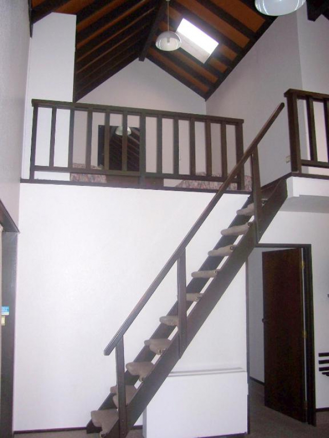 Alcala Motel Dunedin