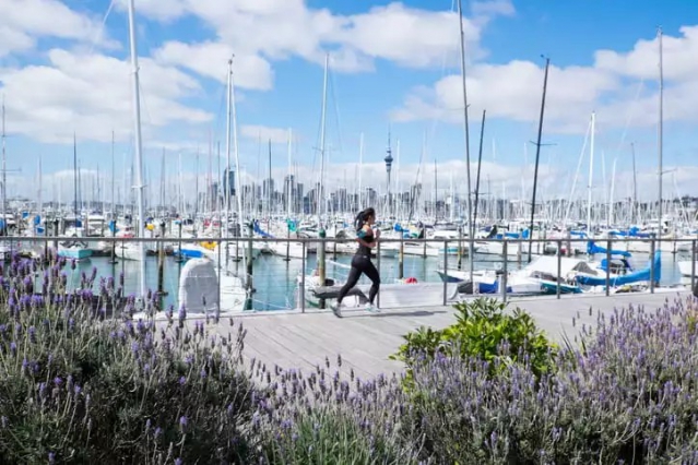 Edit Auckland Central 