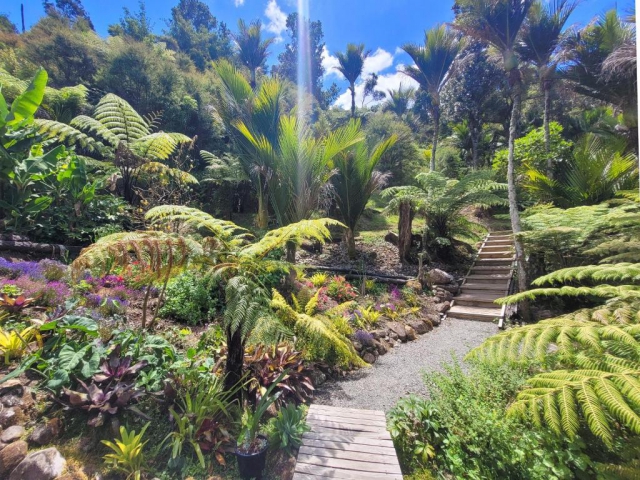 Annabells B&B Whitianga