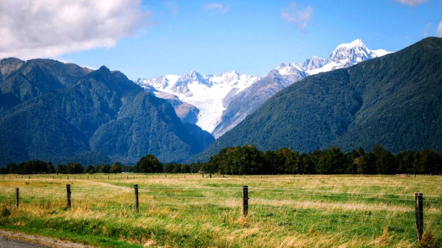 Bella Vista Motel Fox Glacier