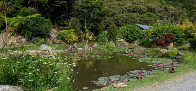 Bay of Islands Apartments & Camper Park