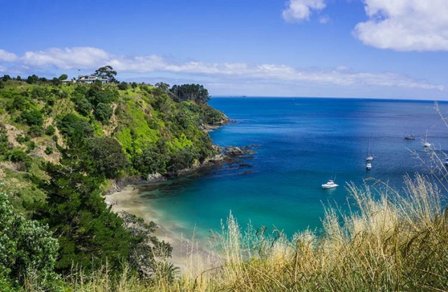 Beachfront on Waiheke 